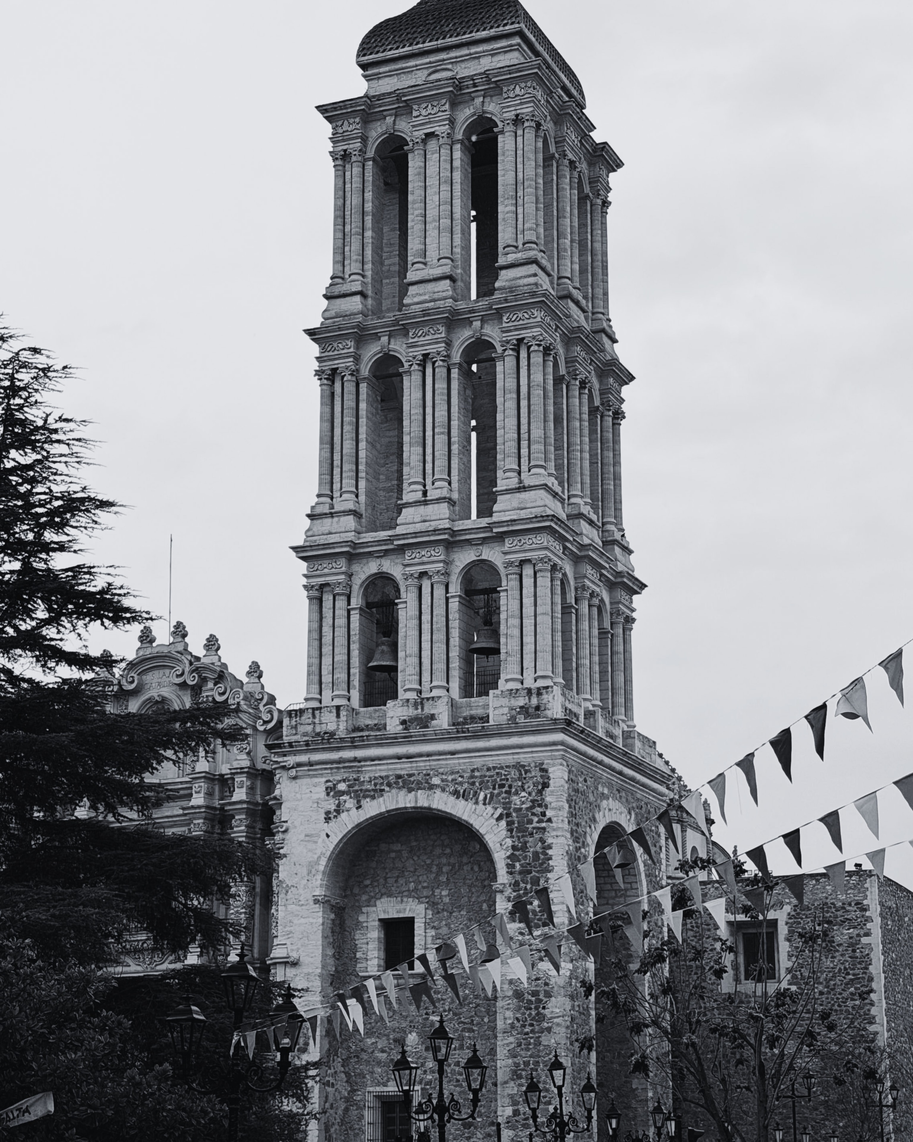 Saltillo — AlvNación